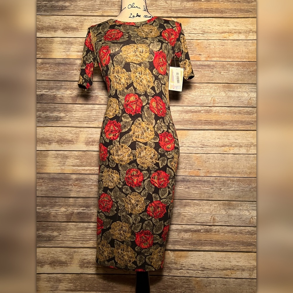 Lularoe Julia Dress XXS ⚡️
